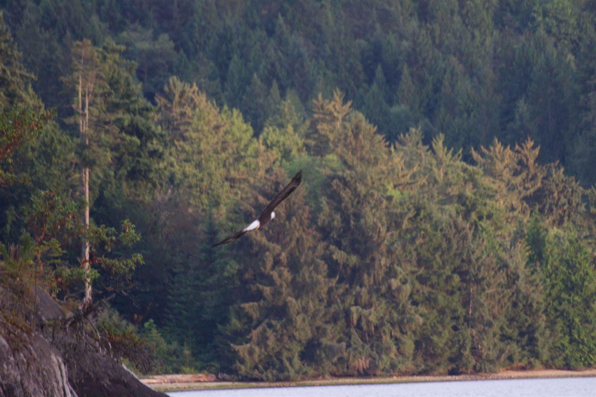 Tranquility Bay Waterfront Inn Sechelt Luaran gambar